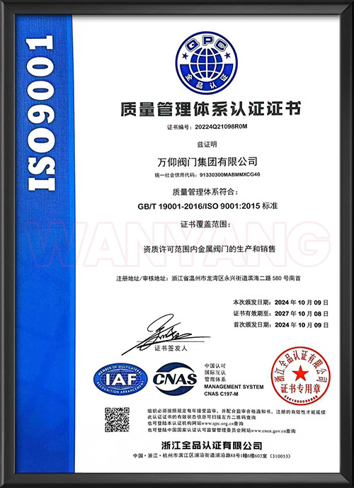 Quality management system certification - Chinese