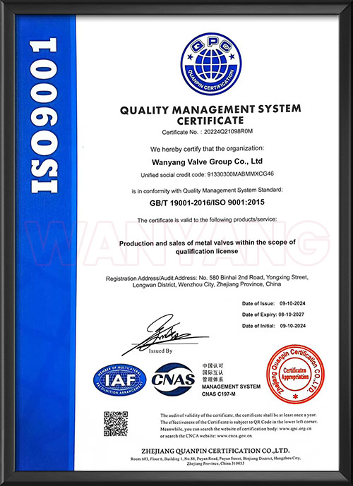 Quality management system certification - English