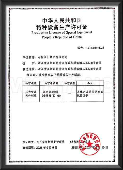 Special equipment production license